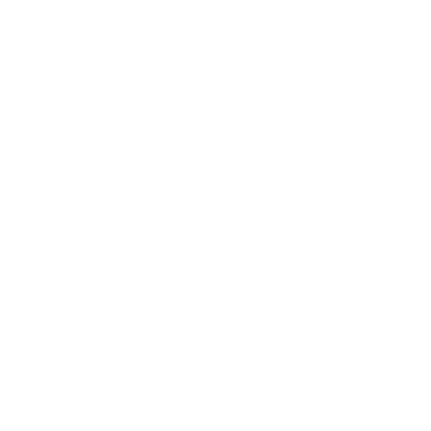 Expanding Opportunities Icon