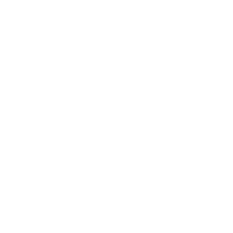 Advancing Inclusion Icon