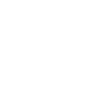 Workforce Intelligence