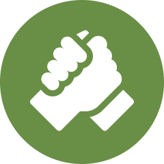 Collaborative Design